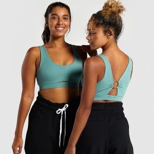 Whitney Simmons x GS sports bra